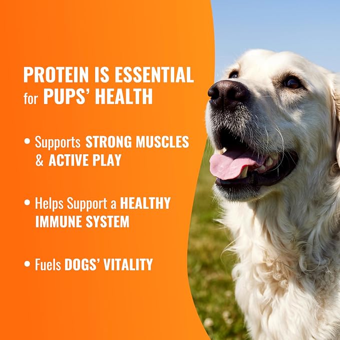 GOOD 'N' FUN Triple Flavor Twists with Bully Chews, High-Protein Dog Treat for All Adult Dogs, Made with Real Chicken, Beef Hide, Pork Hide, Bully & Beef Liver Flavor, 12 Count