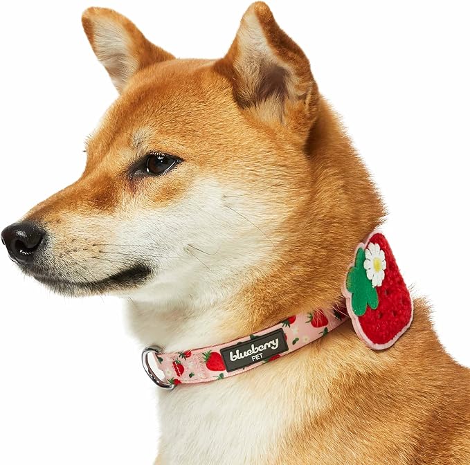 Blueberry Pet Harvesting Strawberry Dog Collar, Adjustable Large Size, Neck 18”-26”, Strawberry Print, Summer Fruit Pet Collar