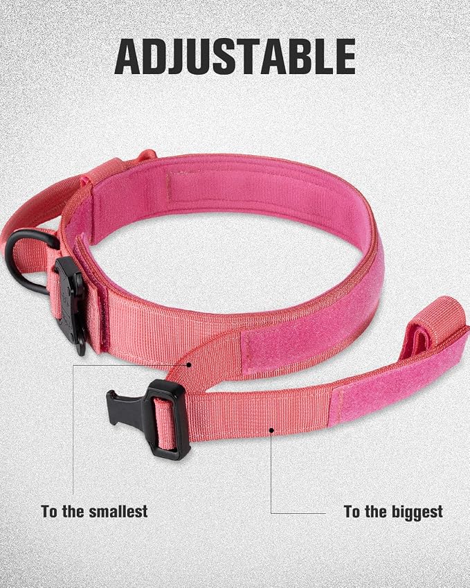 Joytale Tactical Dog Collar(17"-21") and Dog Leash Set, Shock Absorbing Bungee Dog Leash and Adjustable Strong Dog Collar with Handle for Large Dogs(Hotpink, L)