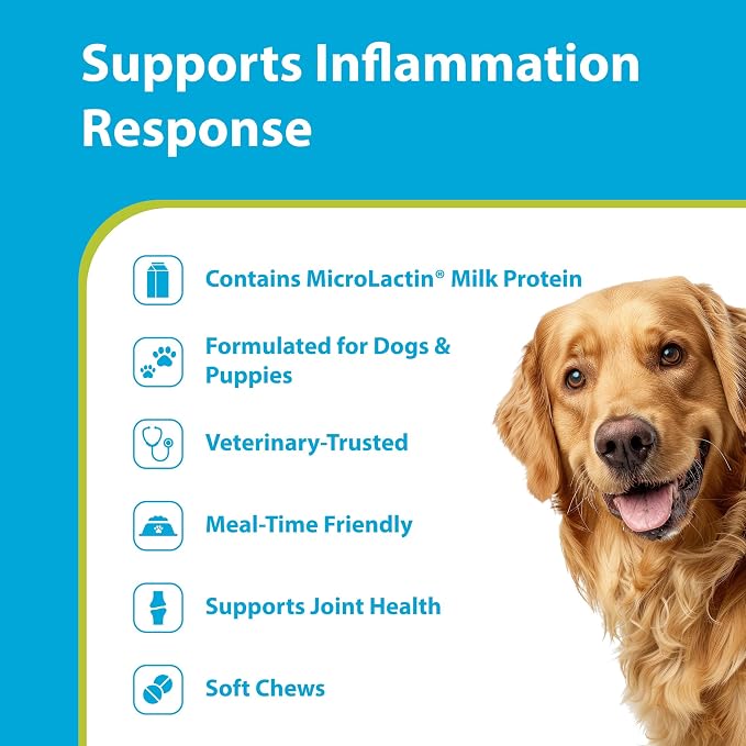 PRN Pharmacal Duralactin Canine Soft Chews for Dogs & Puppies, 90 Count
