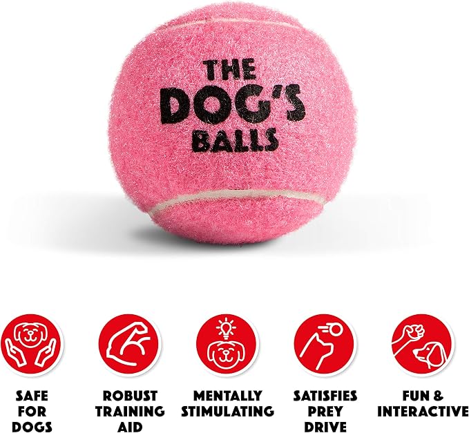 The Dog's Balls Dog Tennis Balls Tough 2.5" 12-Pack Pink Floats in Water | Our fetch balls combine non-abrasive felt exterior and a thicker rubber core Durable Dog Toy for Outdoor Play & Training