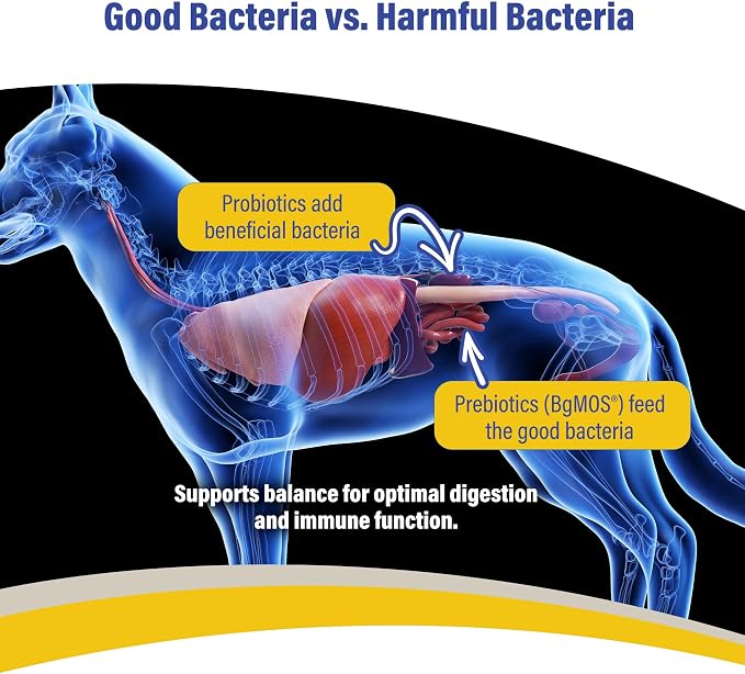 Doc Roy's GI Synbiotics Prebiotic & Probiotic Gel for Dogs & Cats, 30mL