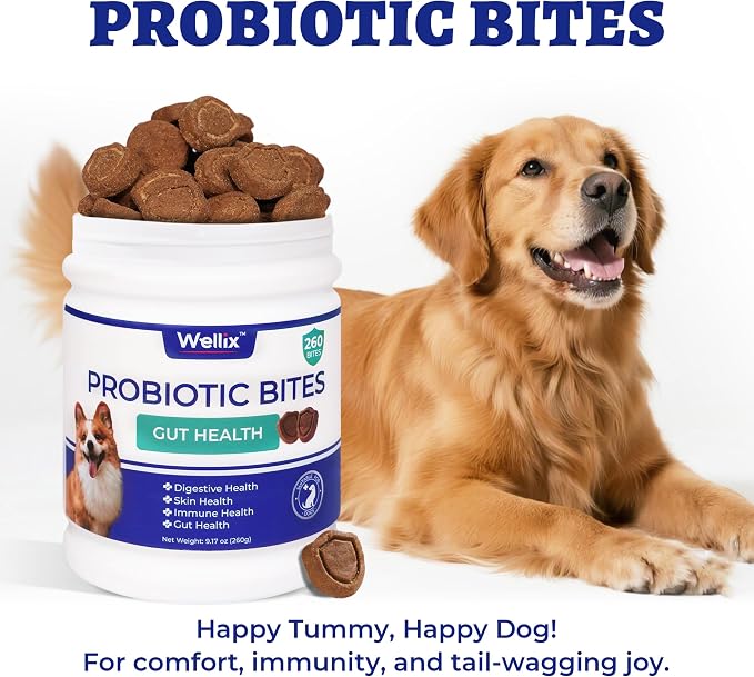 Wellix 260 Bites Probiotics for Dogs - Probiotics & Prebiotics with Pumpkin