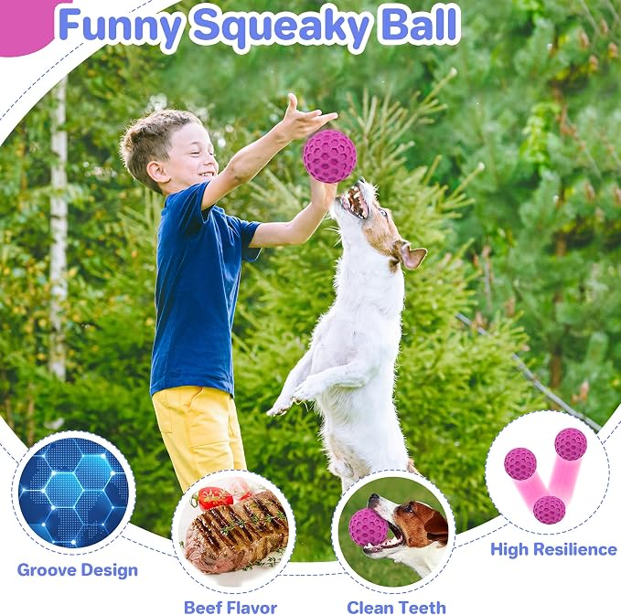 DISSKNIC Tough Squeaky Dog Balls Puppy Toys, Interactive Dog Toys for Small Dogs, Puppy Chew Toys for Teething and Relax, Dogs Chew Toy Small Balls Dog Toys for Small Breed, Outdoor Dog Toy for Dogs