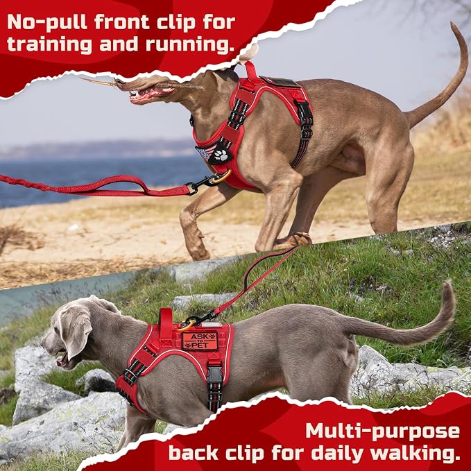 rabbitgoo Tactical Dog Harness for Medium, No Pull Military Service Vest | Molle & Handle, Heavy Duty, Adjustable, Reflective Straps, Easy Control for Training Walking, Red, Medium