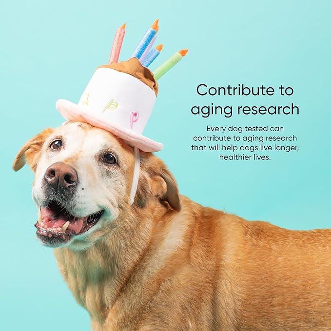 Embark Dog Age Test Kit