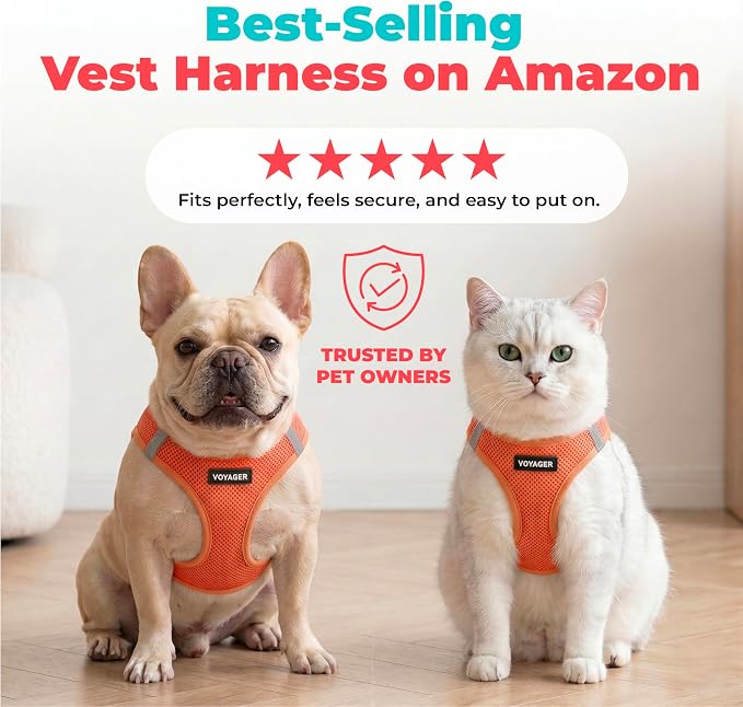 Voyager Step-in Air Dog Vest Harness - Orange, Medium | 16 - 18" in Chest, Reflective Bands, All Weather Breathable Air Mesh, Cats Compatible, Lightweight, Fast Drying