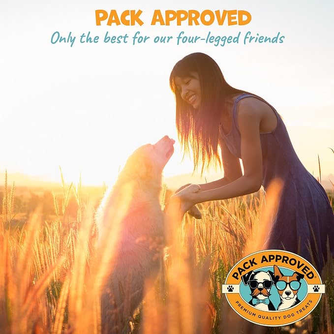 Pack Approved Ear Wipes for Dogs with Aloe Vera & Eucalyptus - Gentle Ear Cleaner for Dogs to Help Remove Wax and Odor - Convenient and Mess-Free Cleaning Pads for Dirty, Itchy Ears - 100 Wipes