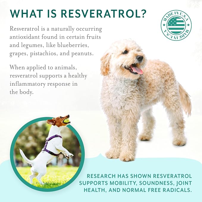 Resveratrol Chews Dog Supplement, Bacon Flavor, Small Breed