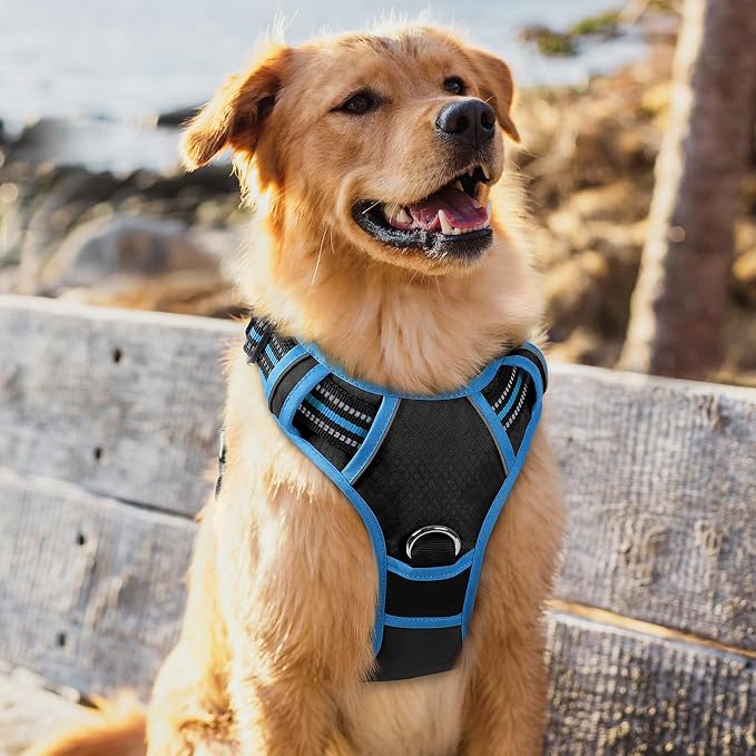 rabbitgoo Dog Harness for Large, No Pull 3 Buckles Easy On & Off | Soft Padded, Walking with Control Handle, Adjustable and Reflective, Black & Blue, X-Large