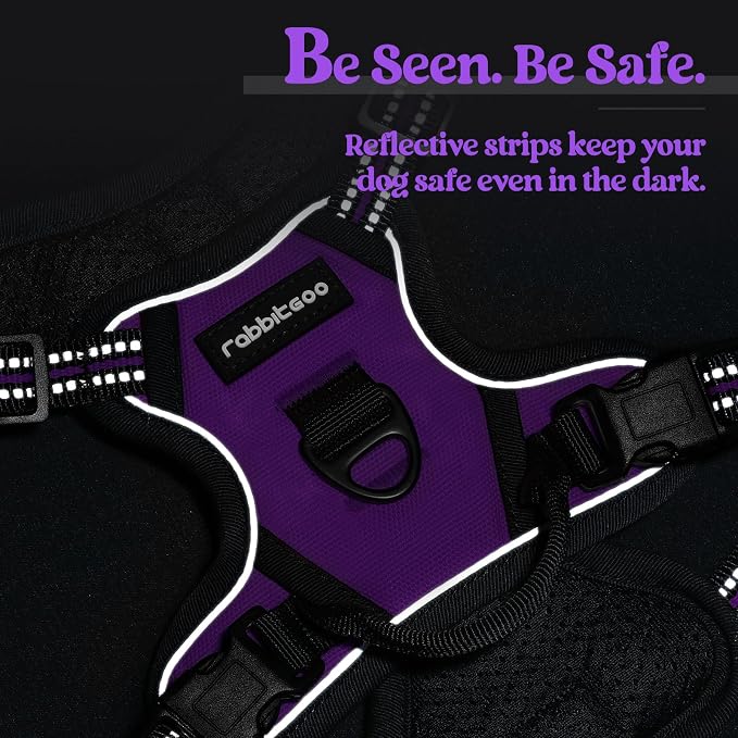 rabbitgoo Dog Harness No Pull with 2 Leash Clips, Adjustable Soft Padded, Reflective Oxford No Choke Pet Vest with Easy Control Handle for Puppy, Purple,XS | No Choke with Handle, Adjustable Soft Padded, Reflective, Easy Control for Walking, Purple, X-...