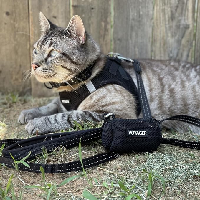 Voyager Step-in Air Dog Vest Harness - Black, Medium | 16 - 18" in Chest, Reflective Bands, All Weather Breathable Air Mesh, Cats Compatible, Lightweight, Fast Drying