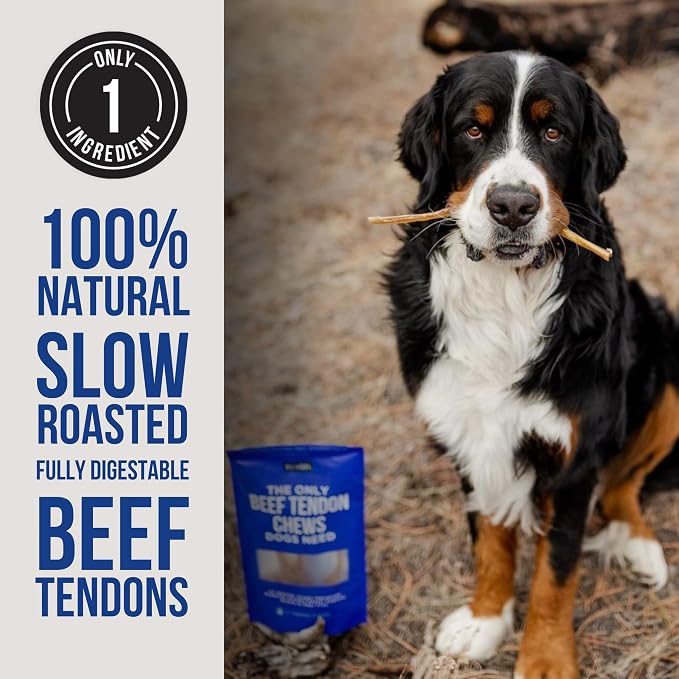 Natural Rapport Beef Tendon Chews, Single Ingredient, Long-Lasting, 10 Ct