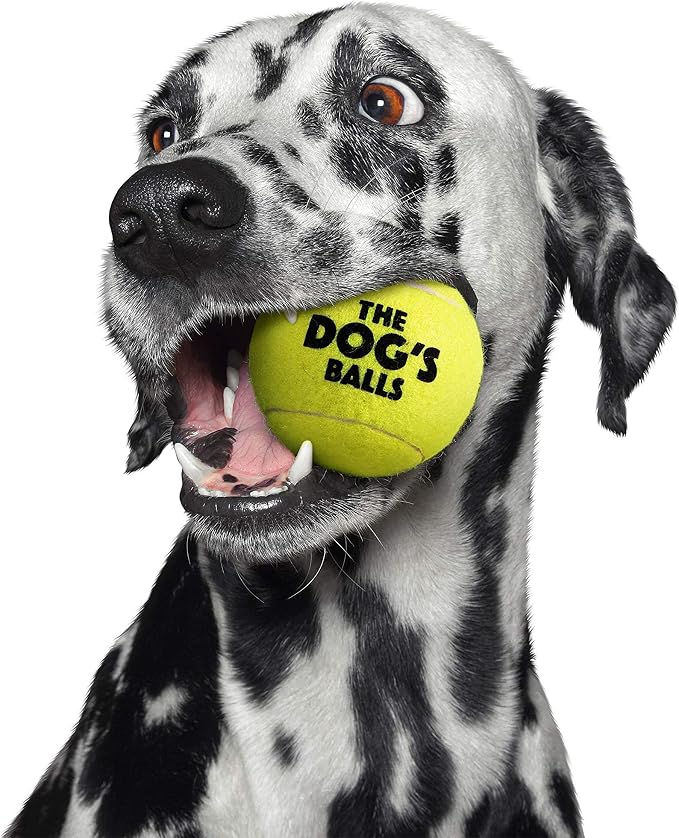 The Big Dog’s Balls Large Dog Tennis Balls 3-Pack Yellow Floats in Water | Our fetch balls combine non-abrasive felt exterior and a thicker rubber core Durable Dog Toy for Outdoor Play & Training
