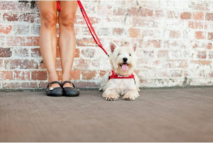 EzyDog Soft Trainer Dog Leash, 6 ft. Leash - 72”, Denim | Traffic Control Handle, Ideal for Dogs over 26 lbs., 1" Wide Soft Touch Webbing, Reflective Stitching, Accessory Attachment,