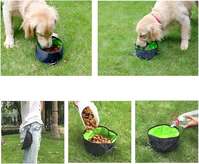 Collapsible Dog Bowls, 2 Pack, Green & Orange