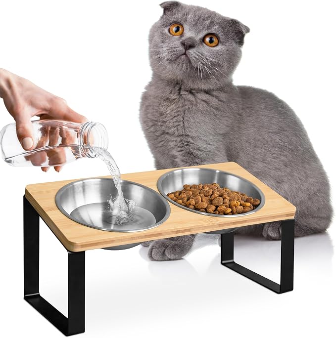 Raised cat Bowls for Indoor Cats by WinTruffles, Elevated cat Bowls, Tilted and Elevated Anti Vomiting Cat Dishes for Food and Water, Set of 2 Stainless Steel Bowl