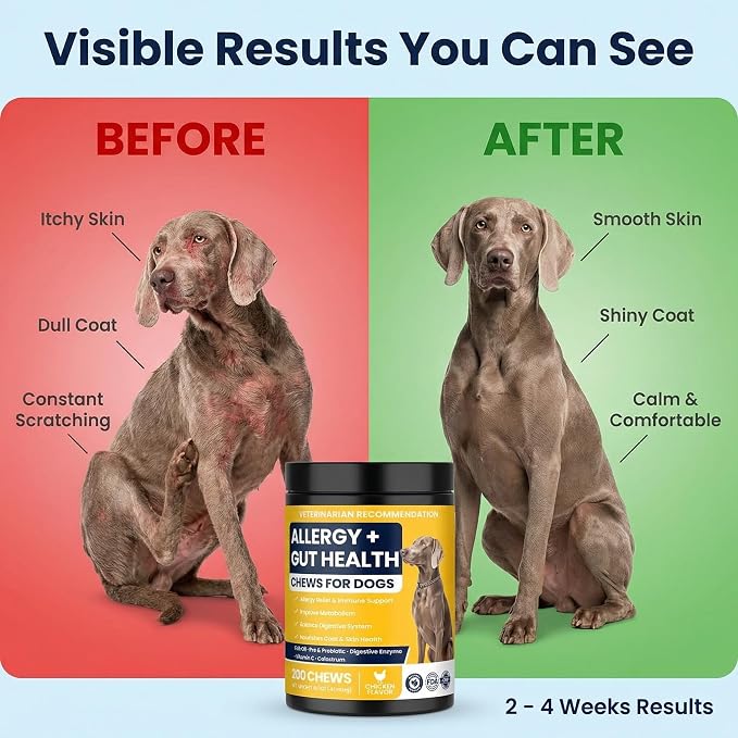 Dog Allergy Chews for Dogs, Itchy Skin & Paw Licking Support, Probiotics for Dogs, Immune & Gut Health, Seasonal Allergy Support, Skin & Coat Health, Chicken Flavor Soft Chews, 200 Ct