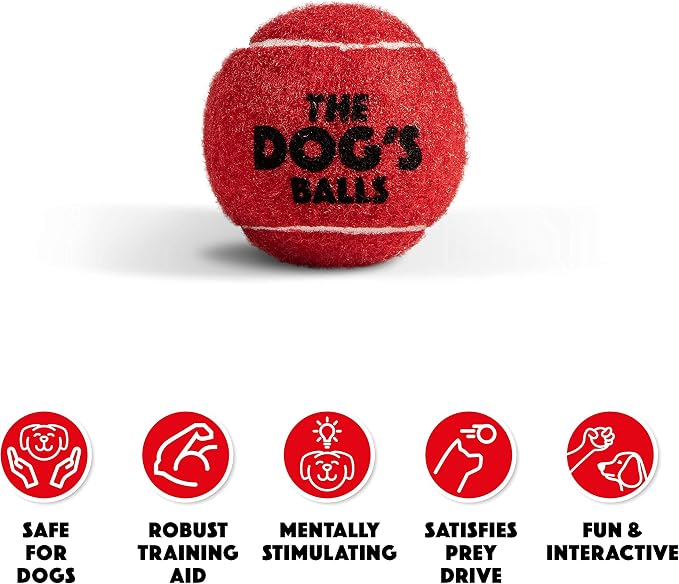 The Little Dog’s Balls Small Dog Tennis Balls 6-Pack Red Floats in Water | Our fetch balls combine non-abrasive felt exterior and a thicker rubber core Durable Dog Toy for Outdoor Play & Training