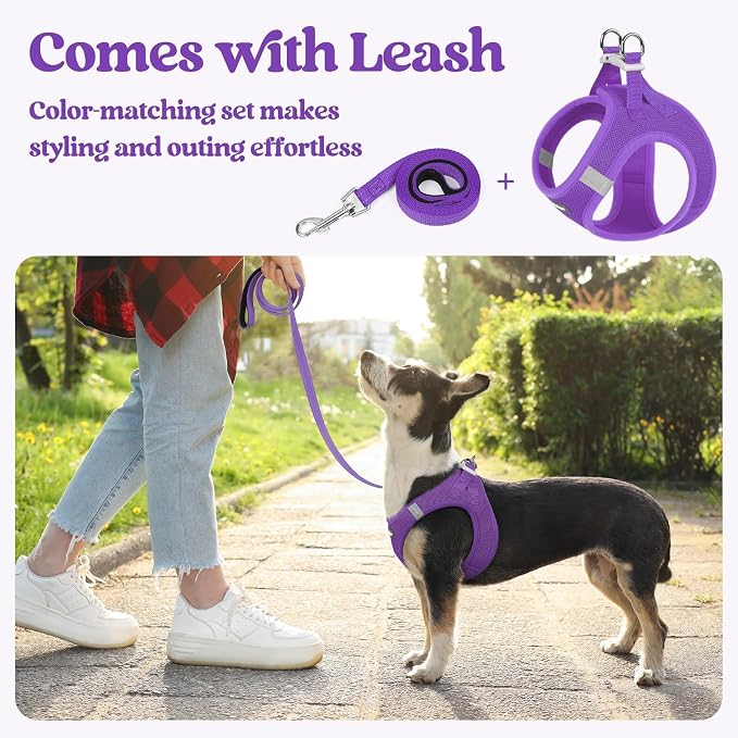 rabbitgoo Dog Harness Small Sized and Leash Set, Step-in Puppy Pet Vest | Light, Soft, Breathable Air Mesh, Easy on and Remove with Hook & Loop, Secure Reflective for Walking, Purple M