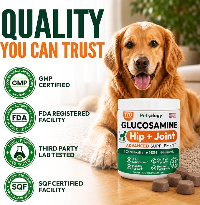 Glucosamine for Dogs, 170 Chews, Hip and Joint Supplement for Dogs | Glucosamine Chondroitin for Mobility - MSM & Turmeric - Joint Pain Relief - Advanced Joint Support for Dogs - Made in USA