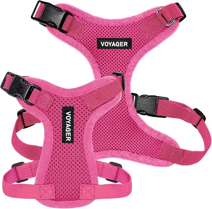 Voyager Step-in Lock Dog Harness - Fuchsia, X-Small | 13 - 16" in Chest, Adjustable, Breathable Air Mesh, Lightweight for Daily Walks, Strong Clips, Heavy Duty D-Ring