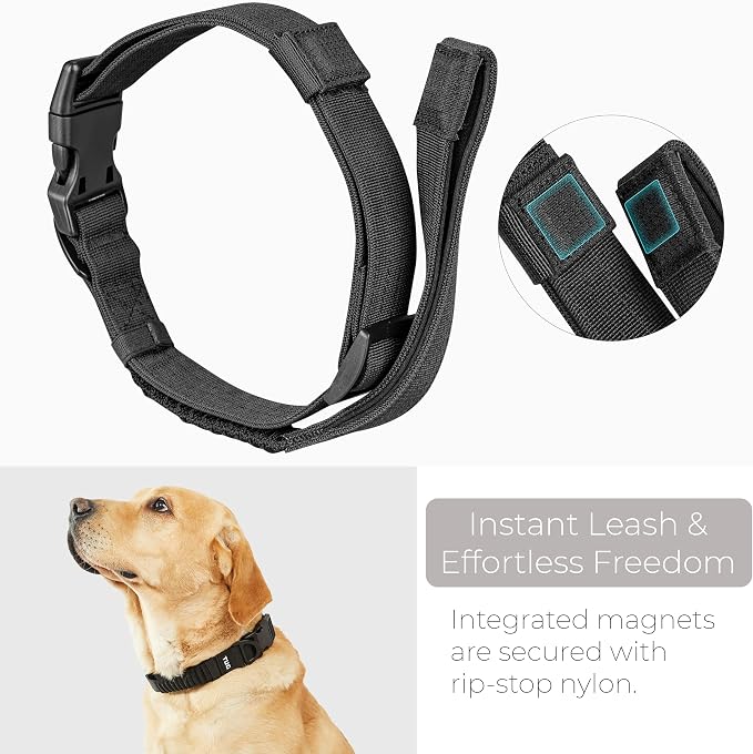 TUG Grab Dog Collar with Built-in Magnetic Traffic Leash (Large/Black) | Magnetic Built-In Traffic Leash | Shock-Absorbing Bungee | Adjustable Strap