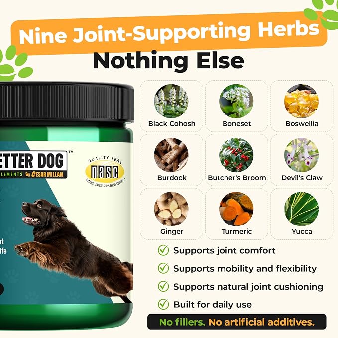 Better Dog Forever Active Hip and Joint Supplement Powder for Dogs, 4 oz