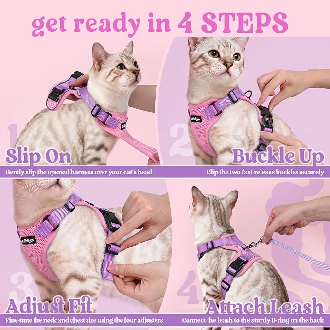 rabbitgoo Cat Harness and Leash Set, Escape Proof Vest, Pink & Light Purple | Soft Breathable Mesh, Easy Adjustable Fit, Snap Buckles, Sturdy Clip, Reflective Strips, for Average Cats Walks, S
