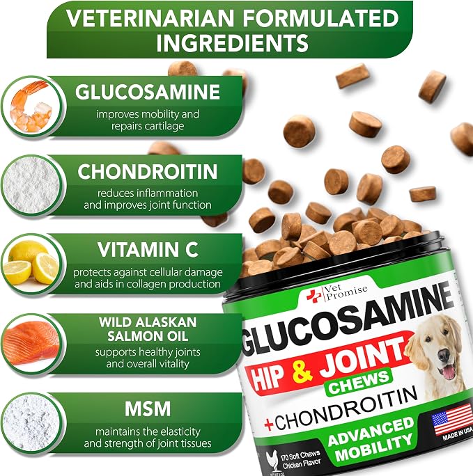 Glucosamine for Dogs - Hip and Joint Supplement for Dogs - 170 Chews