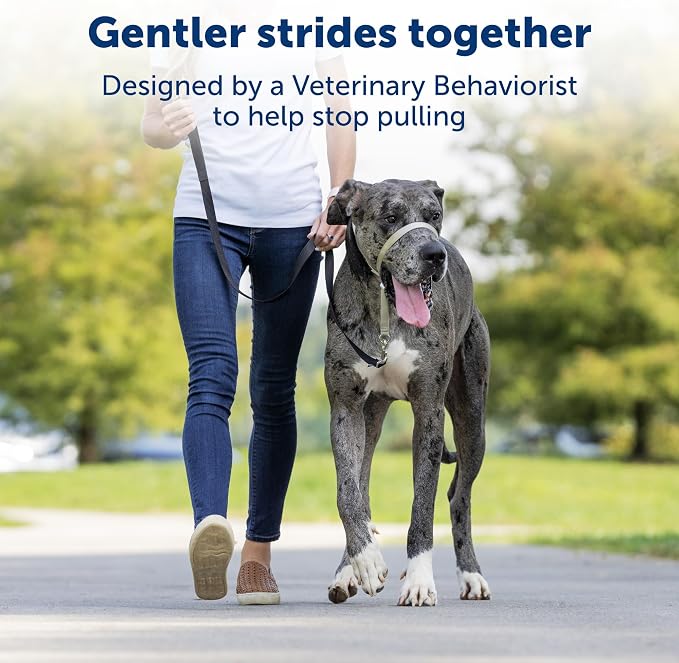 PetSafe Gentle Leader No-Pull Dog Headcollar - The Ultimate Solution to Pulling - Redirects Your Dog's Pulling for Easier Walks - Helps You Regain Control - Large, Charcoal (Pack of 6)
