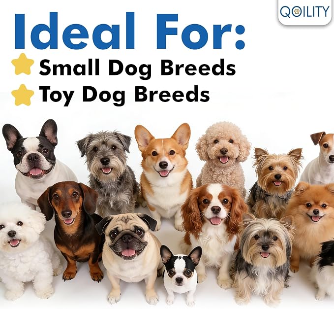 Acrylic Dog Playpen Indoor, Height 30", 20 Panels, Modular 2 Room & Toilet Area, Ideal for Small & Toy Dogs, Black