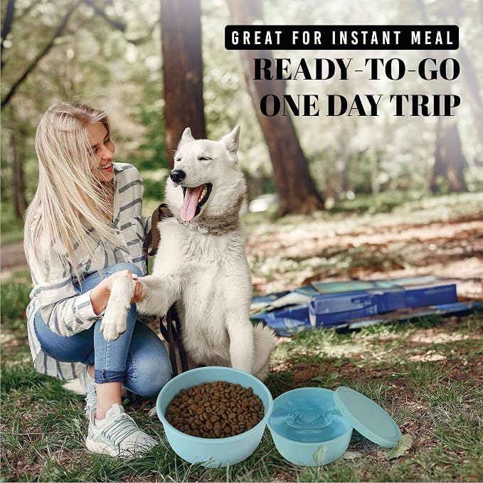 AVERYDAY 30 Oz Travel Dog Bowls with Lids