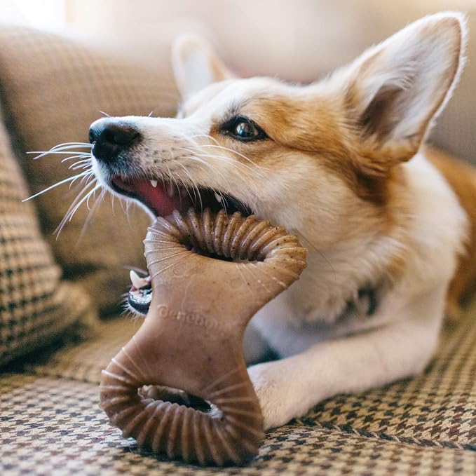 Benebone Dental Durable Dog Chew Toy for Aggressive Chewers, Real Bacon, Made in USA, Small & Wishbone Durable Dog Chew Toy for Aggressive Chewers, Made in USA, Small, Real Bacon Flavor