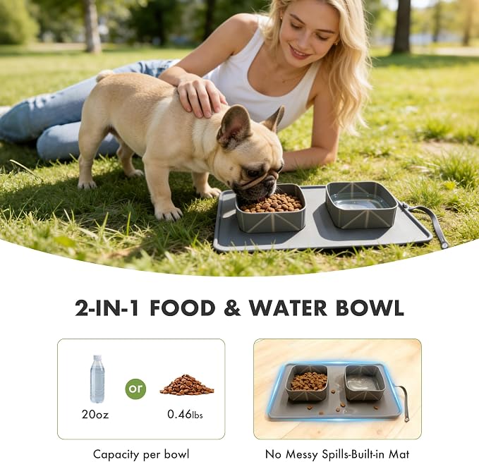 No Spill Collapsible Dog Bowl with Mat, 20oz
