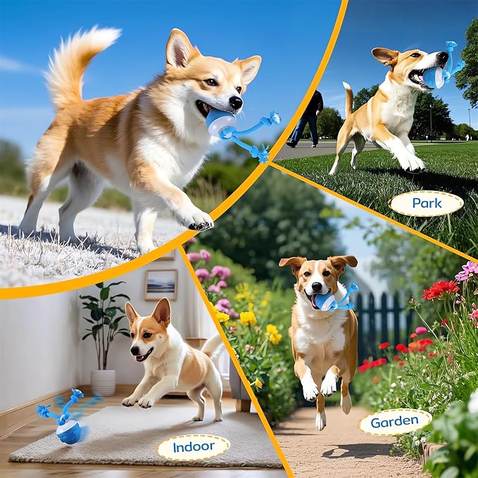 The Chase Buddy Dog Boredom Stimulating Toy 2025 Smart Pet Puppy Ball with Ropes Interactive Self Play Moving Dogs Balls Automatic Electric Active Rolling Ball Jumping Bouncing Dog Balls Gift (Blue)