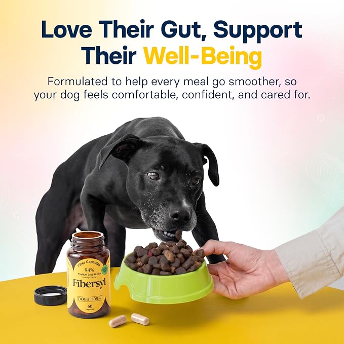 FiberSyl Prebiotics for Dogs - Psyllium Husk Fiber Supplement - 60 Capsules