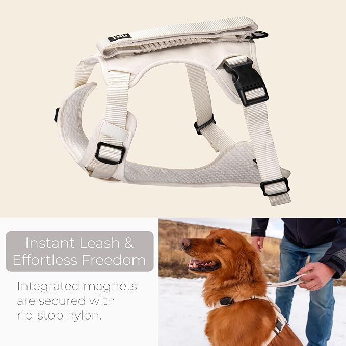 TUG Grab Dog Harness with Built-in Magnetic Traffic Leash (Small/Cream) | Padded Magnetic Traffic Handle | Dual Leash Clips | 4-Point Adjustable Fit | Durable Nylon
