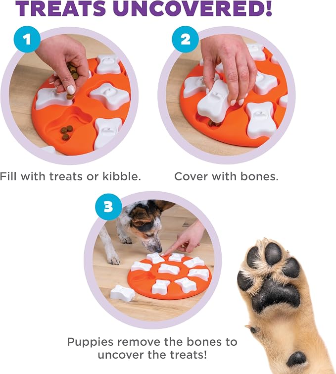 Outward Hound Nina Ottosson Dog Smart Dog Toy Treat Puzzle, Enrichment, 11"