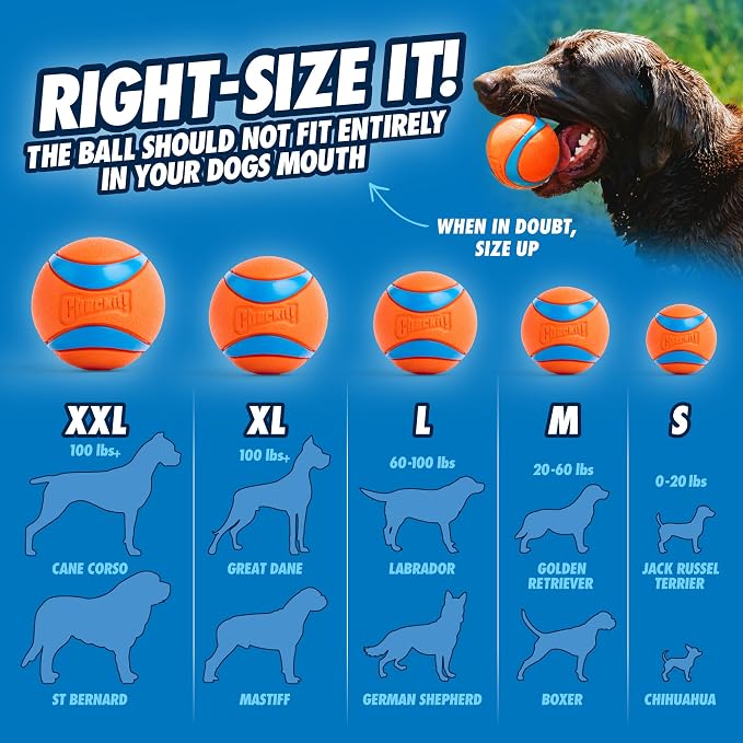 Chuckit! Classic 26M Dog Ball Launcher, 26in, Includes Medium 2.5in Ball | Compatible with Medium 2.5 In Balls, for Dogs 20-60 Pounds, Made in USA, Comes with 1 Medium Ultra DogBall