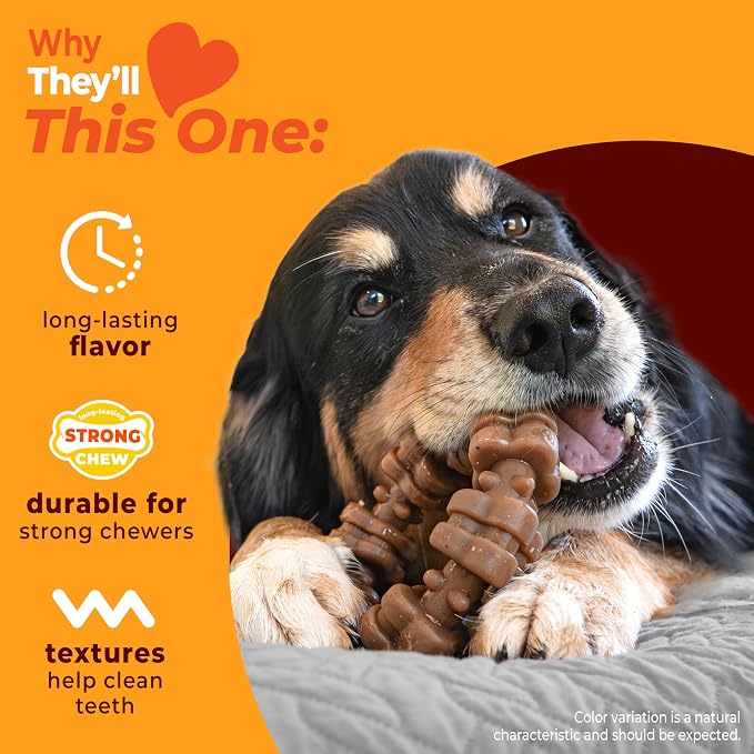 Nylabone Strong Chew Ring Dog Chew Toy Made with Real Beef & Chicken | X-large breeds, durable, long-lasting dog bone, textures help clean teeth, keeps dogs busy, for dogs 50+ lbs