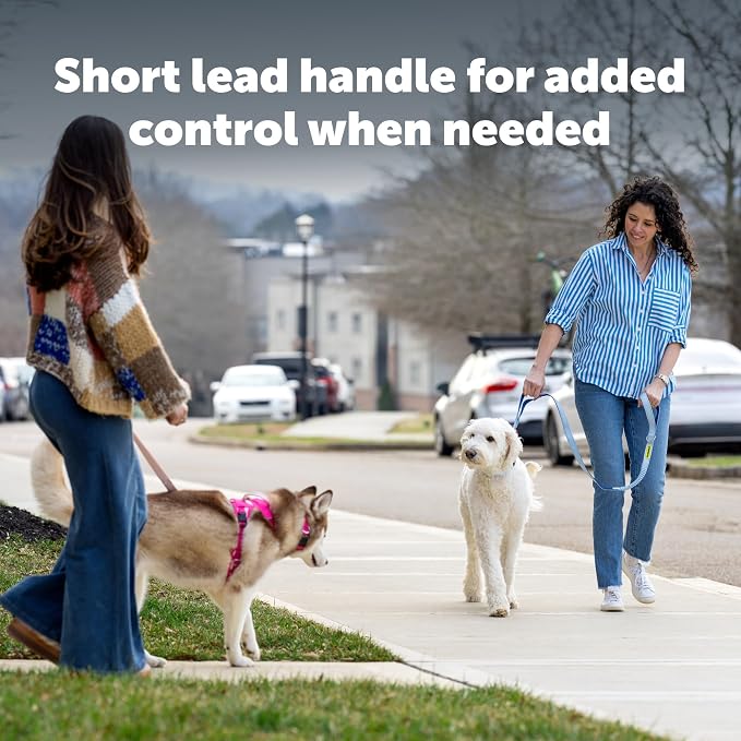 PetSafe Comfort 4 ft Bungee Dog Leash, Black | Shock-Absorbing Bungee Flexes on Pulls, Dual Handles for Control, Reflective Stitching, Built-in D-Ring for Off-Leash Storage