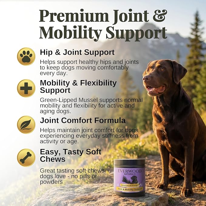 Premium Joint & Mobility Support Soft Chews for Dogs – Glucosamine, MSM, Green Lipped Mussel & Turmeric – Dog Hip & Joint Supplement – 60 Soft Chews