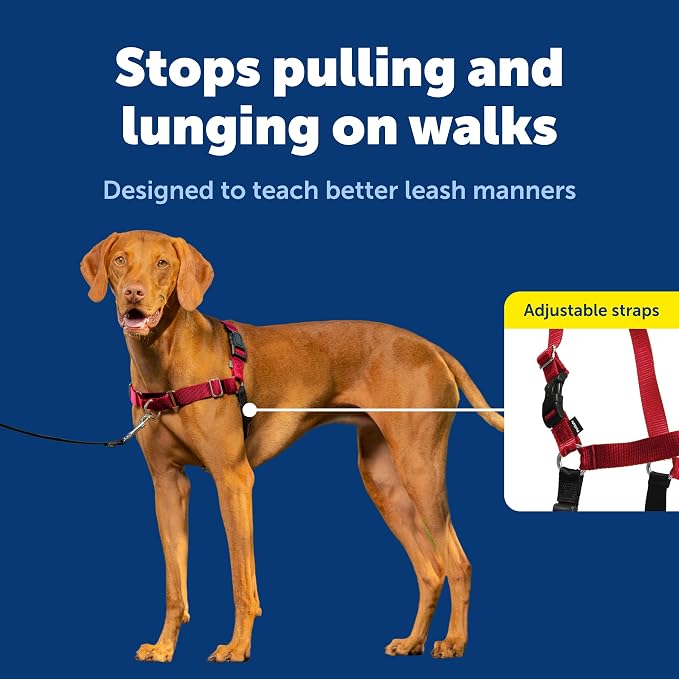 PetSafe Easy Walk No-Pull Dog Harness - Ultimate Harness to Help Stop Pulling - Pull-Free Walks - Take Control & Teach Better Leash Manners - Patented Martingale Loop Design - Deep Purple,Medium/Large