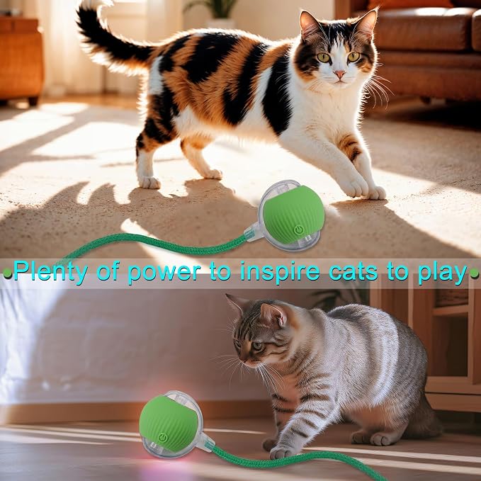 Interactive Cat Dog Toy Ball with LED Light, Automatic Rolling(Green) | String Tail and LED Light Design, Motion Activated, Suitable for Interactive Indoor Pet Play and Exercise