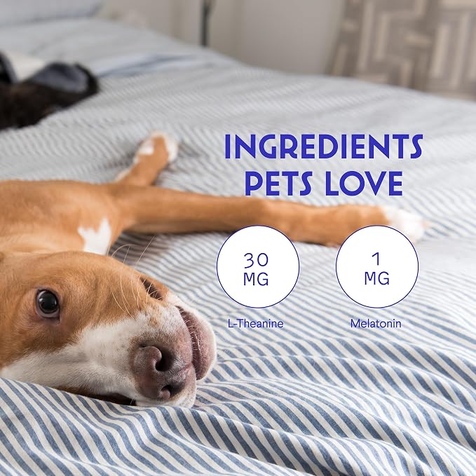 Wonder Paws Melatonin for Dogs, L-Theanine, 2oz