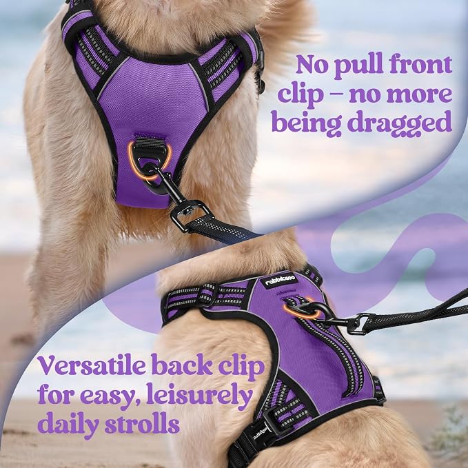 rabbitgoo Large Dog Harness, Easy Wear with 3 Buckles and Lift Handle | No Pull with Front Clip for Walking, Adjustable Soft Padded, Reflective, Easy Control, Purple, Large