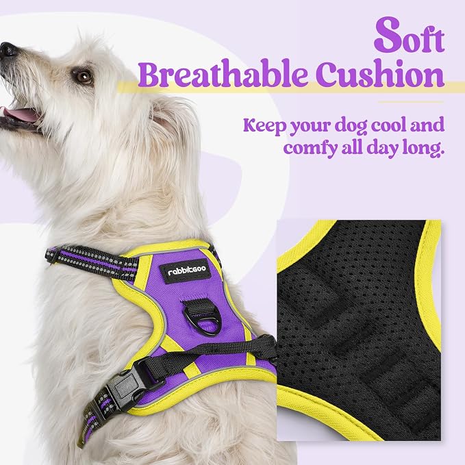 rabbitgoo Dog Harness, No Pull for Small Dogs with 2 Leash Clips, Pet Vest | No Choke with Handle, Adjustable Soft Padded, Reflective, Easy Control for Walking, Purple & Yellow, X-Small