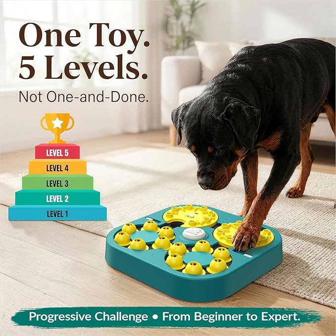 KADTC Dog Puzzle Toy, XL Size, 5 Levels in 1 & 6 Ways to Play, Beginner to Expert Difficulty, Mental Stimulation Enrichment Toy for Smart Dogs