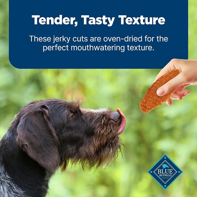 Blue Buffalo Nudges Jerky Cuts Dog Treats, Made in the USA with Natural Ingredients, Chicken & Duck, 16-oz Bag